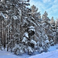 Ты хотела снега,ты просила, Получай....... :: Восковых Анна Васильевна 