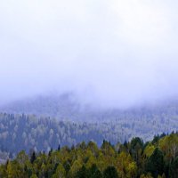 Туман :: Sehio Shok