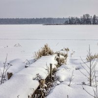 Зима на Волге :: Дмитрий Балашов