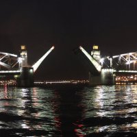 Большеохтинский мост :: Светлана Карнаух