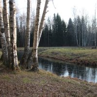 Павловский парк. Долина прудов :: Наталья Герасимова