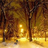 Ночью весь сквер негой снежною объят!.. :: Лидия Бараблина