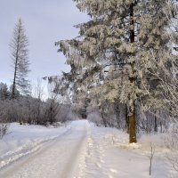 Зимний пейзаж :: Нина Синица