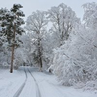 Дорога. :: Алекс Ант