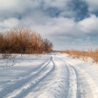Прокатиться по первому снежку! :: Андрей Заломленков