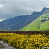 поляна Эммануэля :: Александр Богатырёв