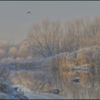 Настроение :: олег свирский 