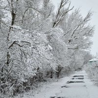 После снегопада :: Василий Ипатов