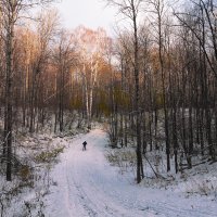 По первому снегу :: Виктор Замулин