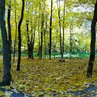 Осенний парк :: Милешкин Владимир Алексеевич 