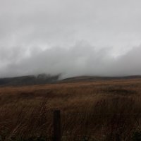 Туман в горах. Англия. Манчестер. :: Inga Catlaka