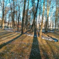 Тени в зимнем парке :: Анатолий Кувшинов