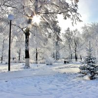 Первый снег, как первая любовь, Непорочный, ласковый и нежный..... :: Восковых Анна Васильевна 