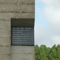 Имена живших в этой сожжённой хате :: Вера Щукина