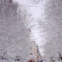 Белый белый белый снег..... :: Андрей + Ирина Степановы