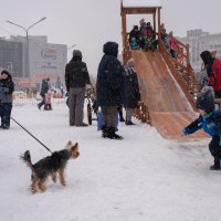 На горке :: Валерий Михмель 