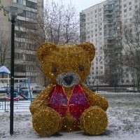 Подключенный  медведь :: Игорь Ч.