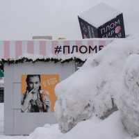 Снежная тема :: Валерий Михмель 