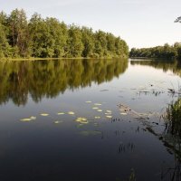 Озеро ,Черное :: Станислав 
