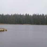 Первый ледок на озере. :: Валентина Жукова