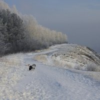 Зима в Сибире :: SmygliankA 