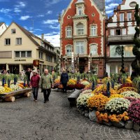Праздник хризантем в городе Лар(Lahr),Германия :: Bo Nik