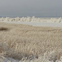 Пейзаж декабря. :: сергей 