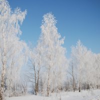 Утром :: Алексей Домрин