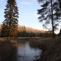 Павловский парк. Долина прудов :: Наталья Герасимова