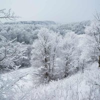 Декабрьский снегопад в долине Исьмы :: Сергей Курников
