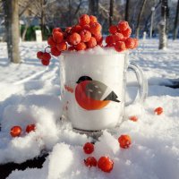 Зимние ягоды. :: Нина Сироткина 