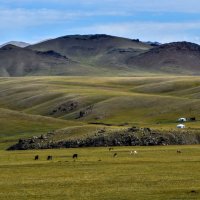 Монгольские пастухи со своими домашними животными :: Георгий А