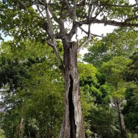 Индийский Океан.MAURITIUS :: Jakob Gardok