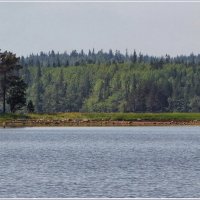 Пейзажи соловецких островов :: Татьяна repbyf49 Кузина