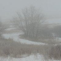Первый туман декабря. :: сергей 