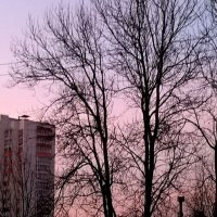 рассвет над городом :: Елена Семигина