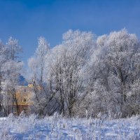 декабрь 2018г. :: Петр Беляков