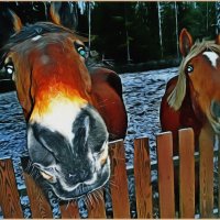 "Все мы немного лошади..." :: Vladimir Semenchukov
