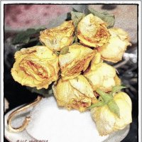 Старые розы :: Liudmila LLF