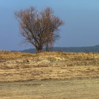 Летний зной :: Валентин Семчишин