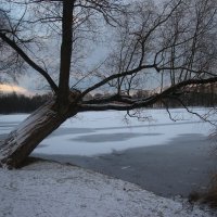 Екатерининский парк в ноябре :: Наталья Герасимова