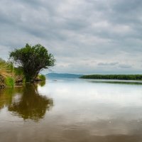 Река Амур. :: Владимир Востриков