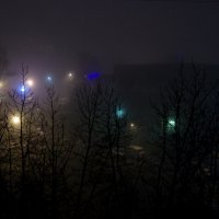 Декабрьский туман... :: Юрий Куликов