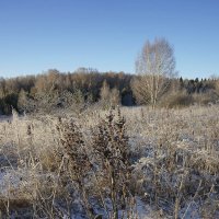 Морозное утро в долине Протвы :: Сергей Курников
