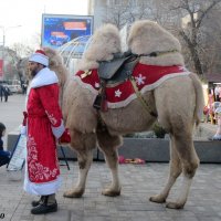 К нам приехал Дед Мороз! :: Нина Бутко