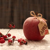 Замороженное яблоко. :: Нина Сироткина 