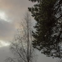Над опьянённой ливнями землёй Царят седые призраки тумана, :: Надежда Федорова