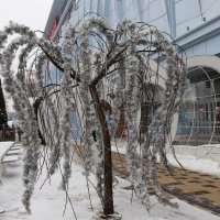 Когда в декабре не пришла зима, оглянись назад :: Надежд@ Шавенкова