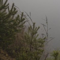 Над опьянённой ливнями землёй  Царят седые призраки тумана, :: Надежда Федорова