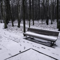 Москвичи рады хоть такому снегу к Новому году :: Андрей Лукьянов